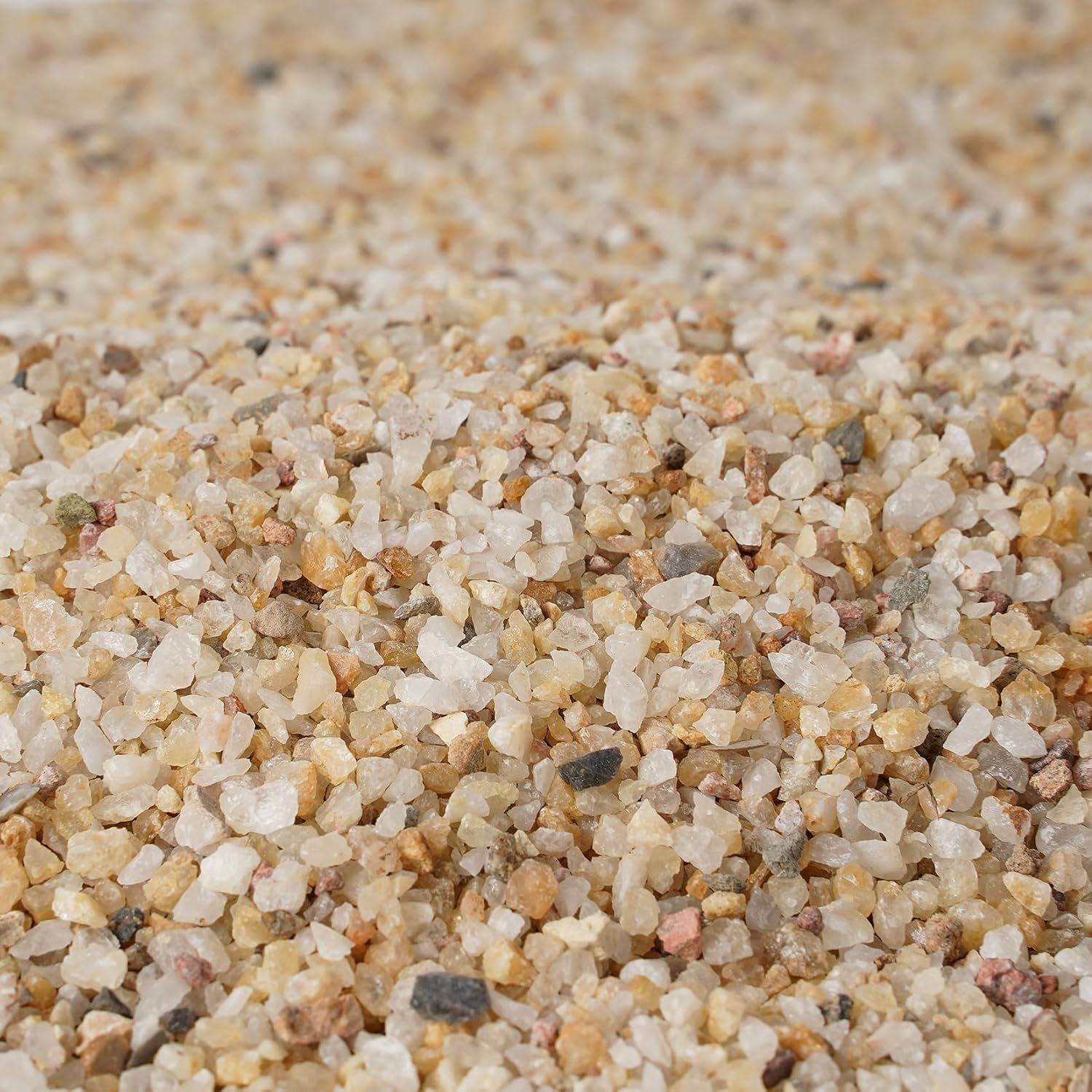 81SjiyKOeFL._AC_SL1500