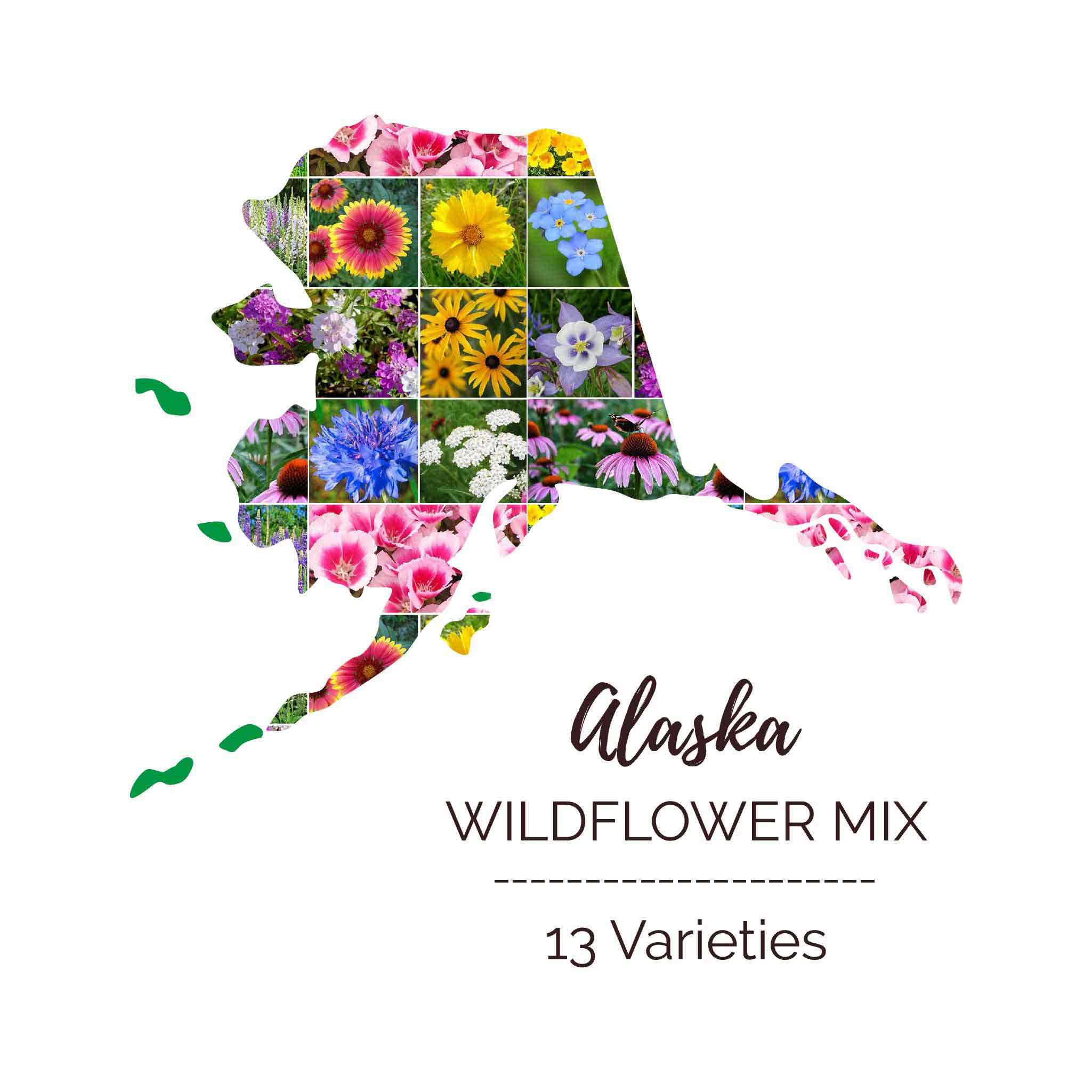 Alaska-mix-ebg-1