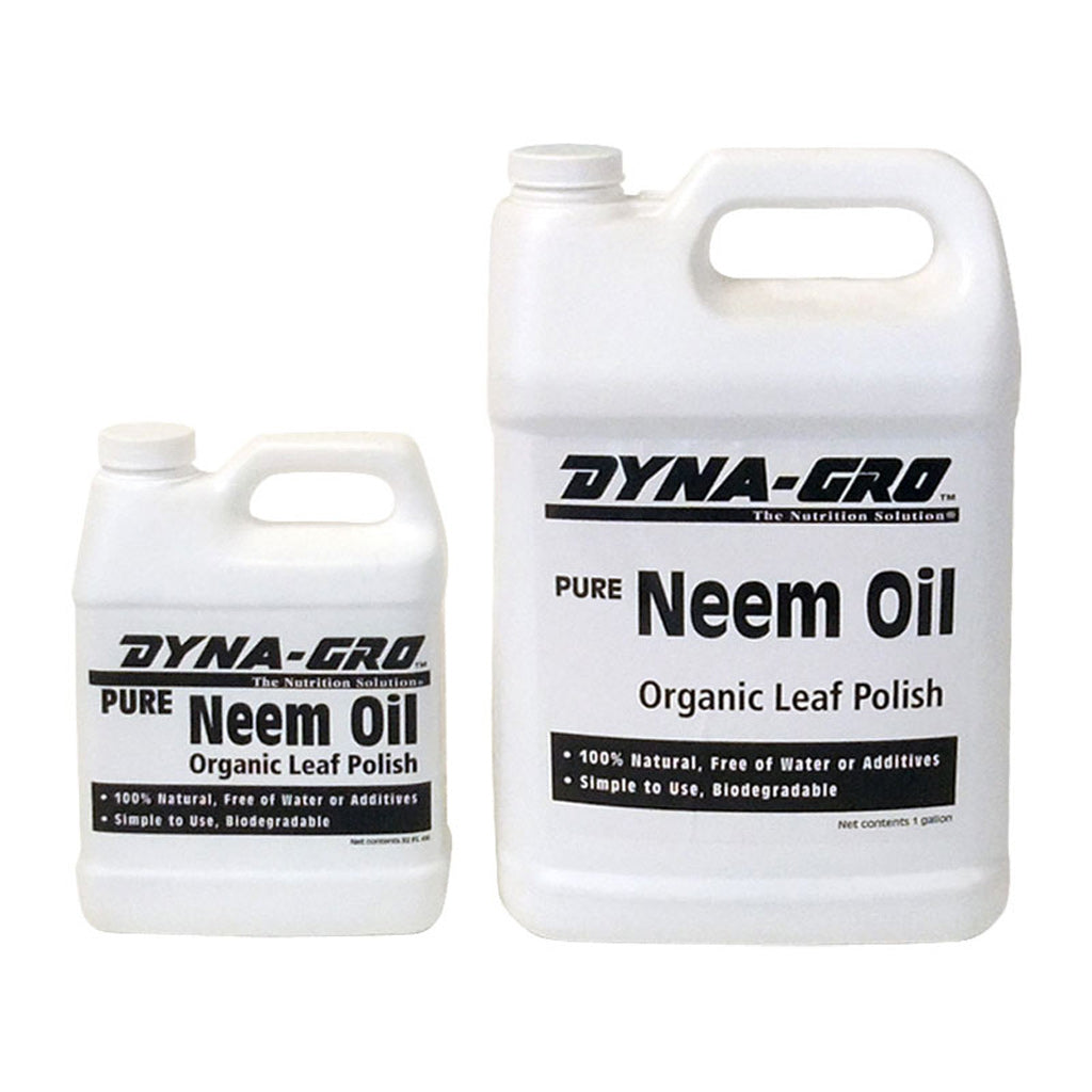 fe-dg-neem_1