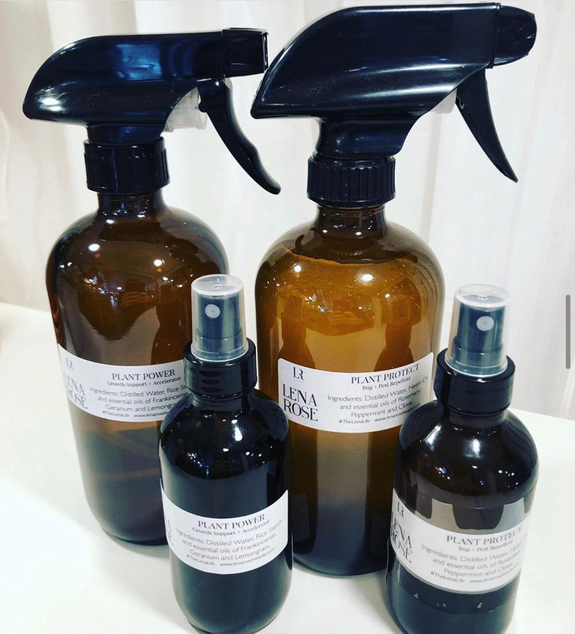 image_6267c7ed-f93e-4b5b-bb07-c3656aeef010