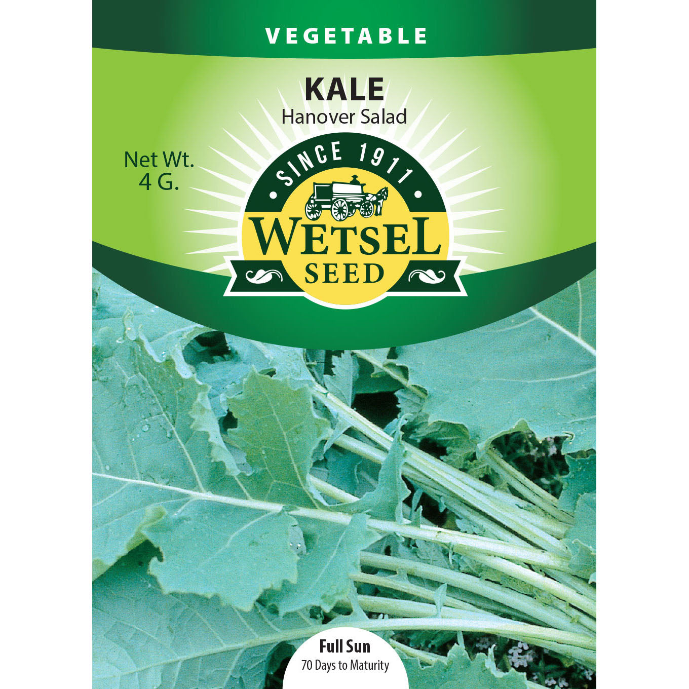 wet27039-veg-kale-hanoversalad