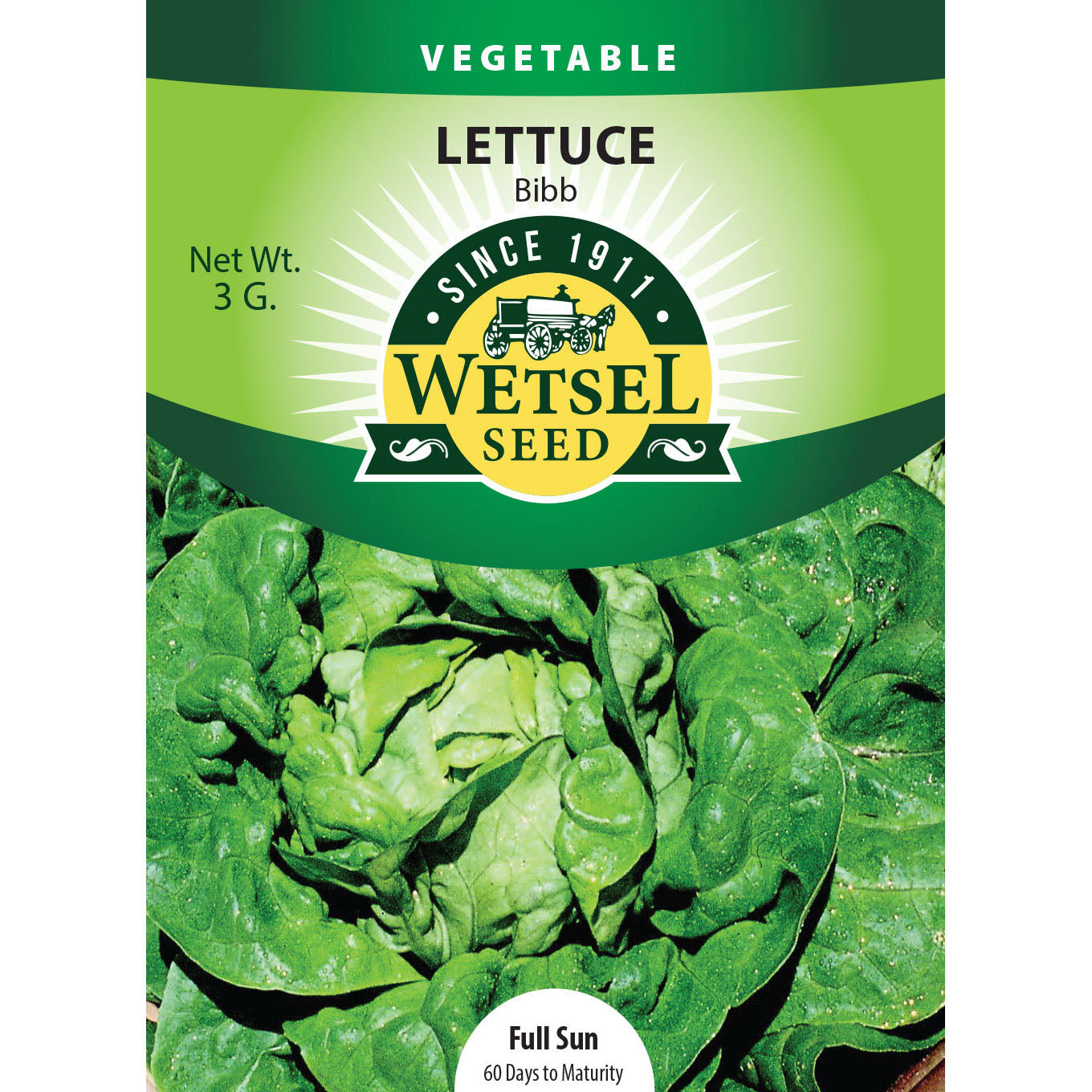 wet28029-veg-lettuce-bibb