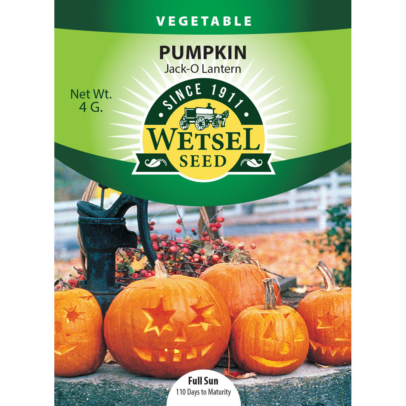 wet30769-veg-pumpkin-jackolantern_85e41128-7464-4cf0-8638-2d27f28f99ff