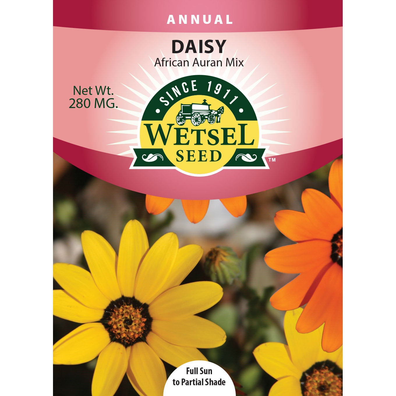 wet69219-flo-daisy-africanauranmix