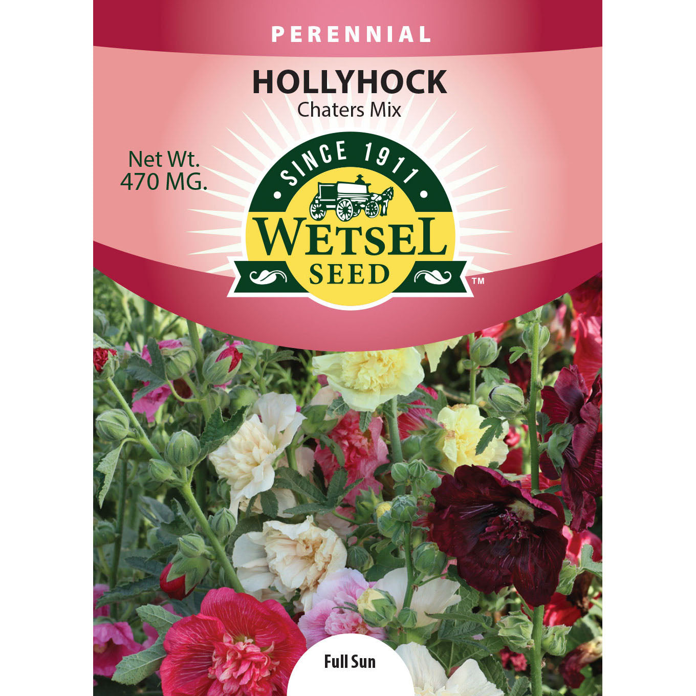 wet78069-flo-hollyhock-chatersmix