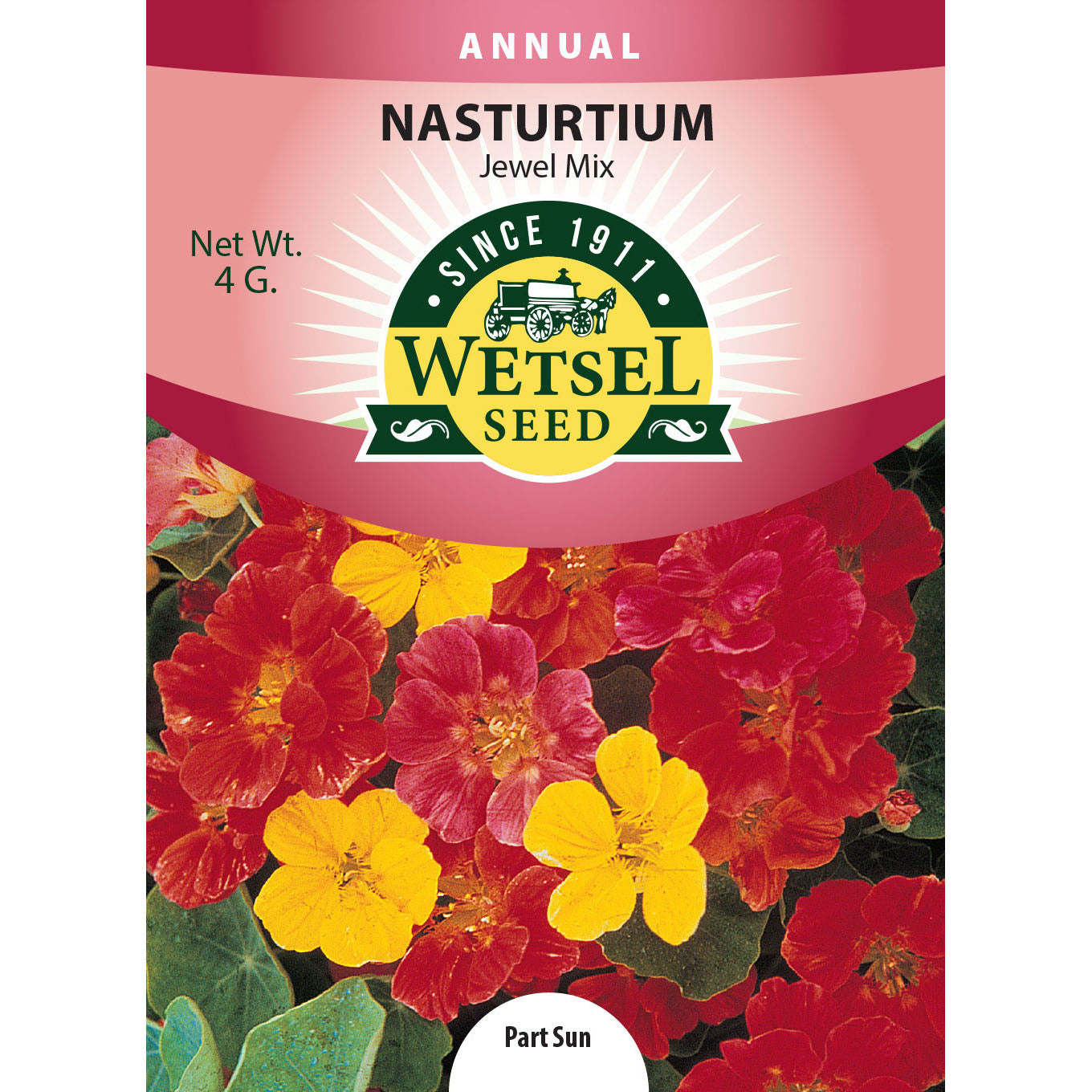 wet88039-flo-nasturtium-jewelmix