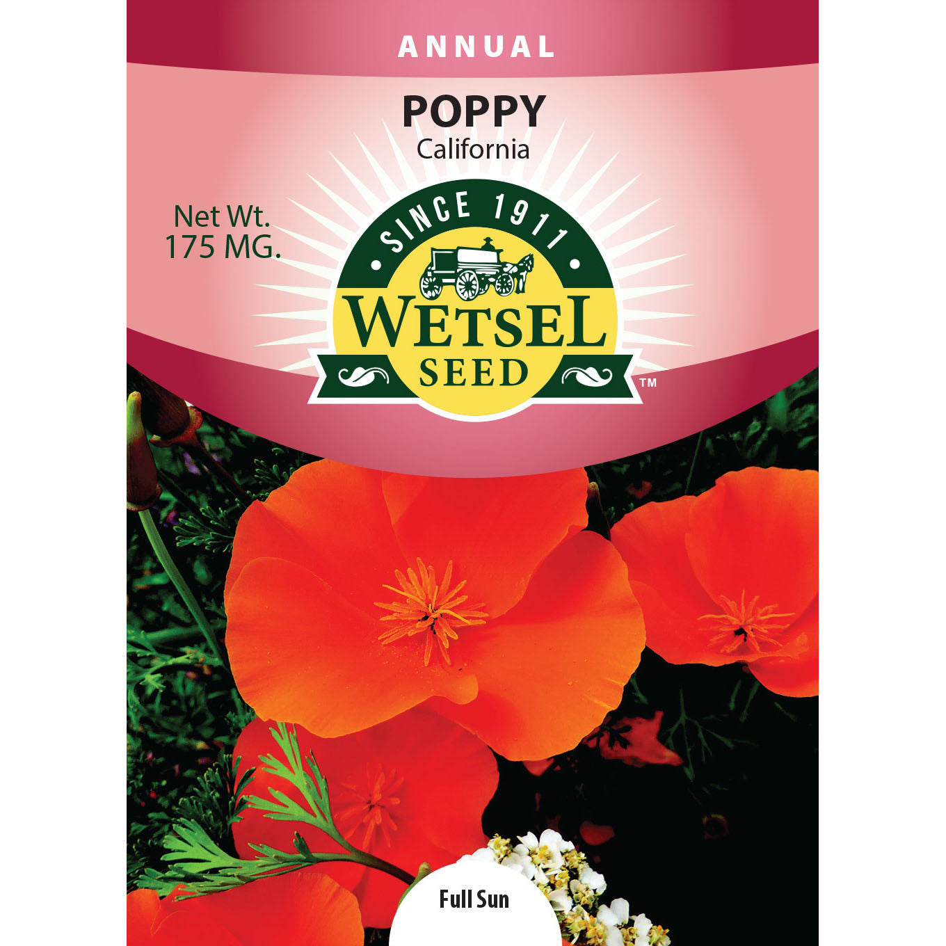 wet88369-flo-poppy-california